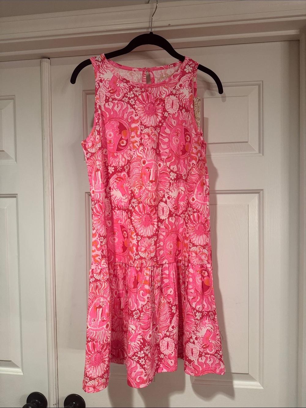 Lilly Pulitzer Dixi Dress
